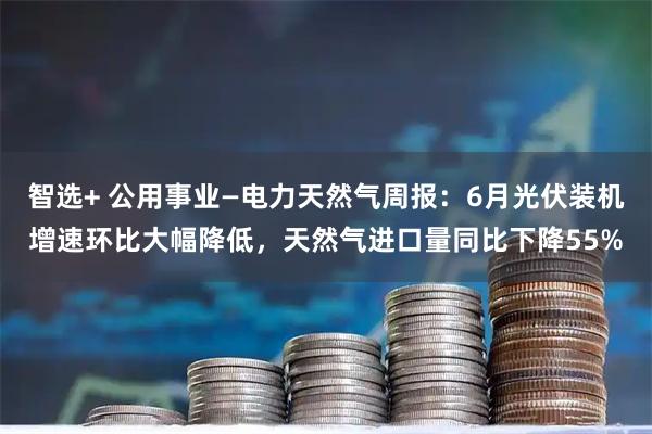 智选+ 公用事业—电力天然气周报：6月光伏装机增速环比大幅降低，天然气进口量同比下降55%