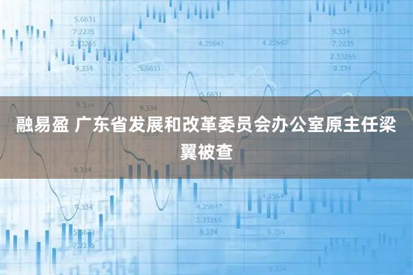 融易盈 广东省发展和改革委员会办公室原主任梁翼被查
