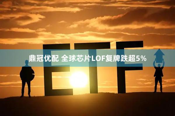 鼎冠优配 全球芯片LOF复牌跌超5%